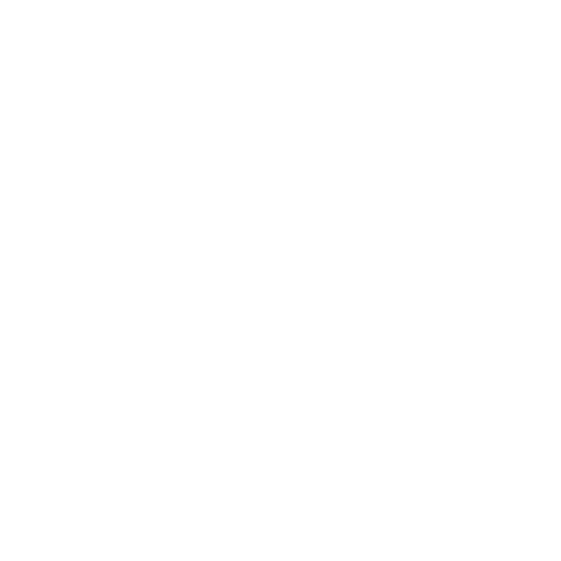 repair icon